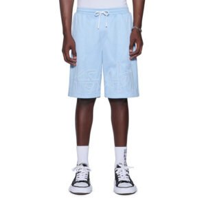 Light Blue Mesh Embroidered Shorts